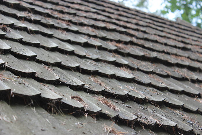 Cedar-Shake-Roof-Restoration-Issaquah-WA